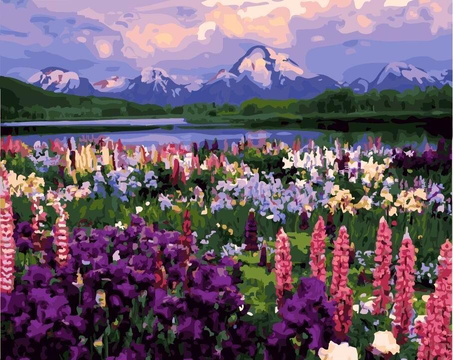

Картина по номерам - Долина полевых цветов BrushMe 40*50см. (GX21019)