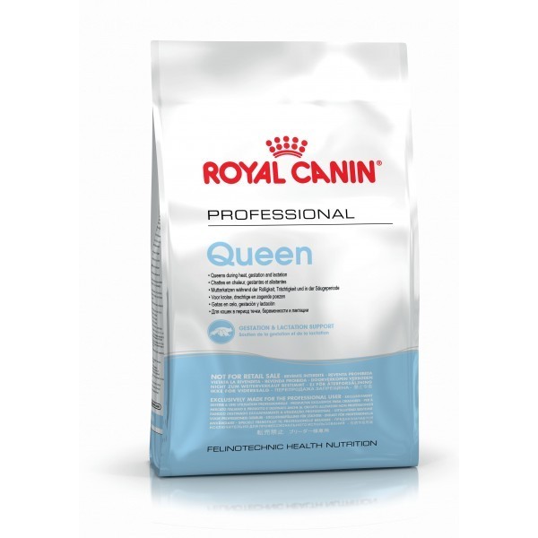 

Сухой корм для кошек при беременности и вскармливании потомства Royal Canin queen 4 кг 2570040