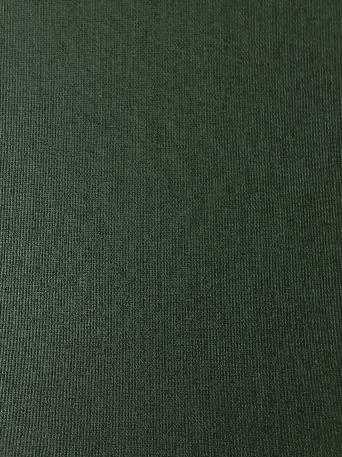

Рулонная штора Franz Deco Eden 115 х 160 см Зеленый мох (Д31605)