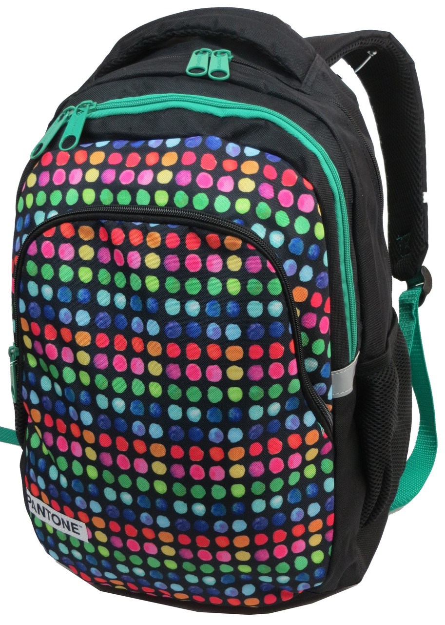 

Молодежный рюкзак PASO 18L Разноцветный (00-699PAN)