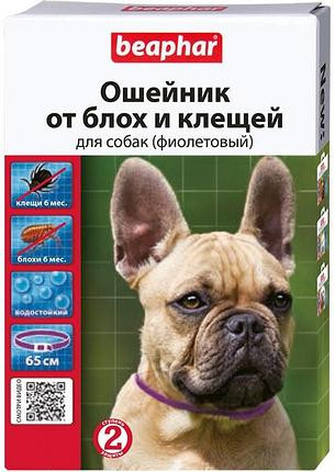 

Ошейник beaphar от блох и клещей для собак, фиолетовый, 65см