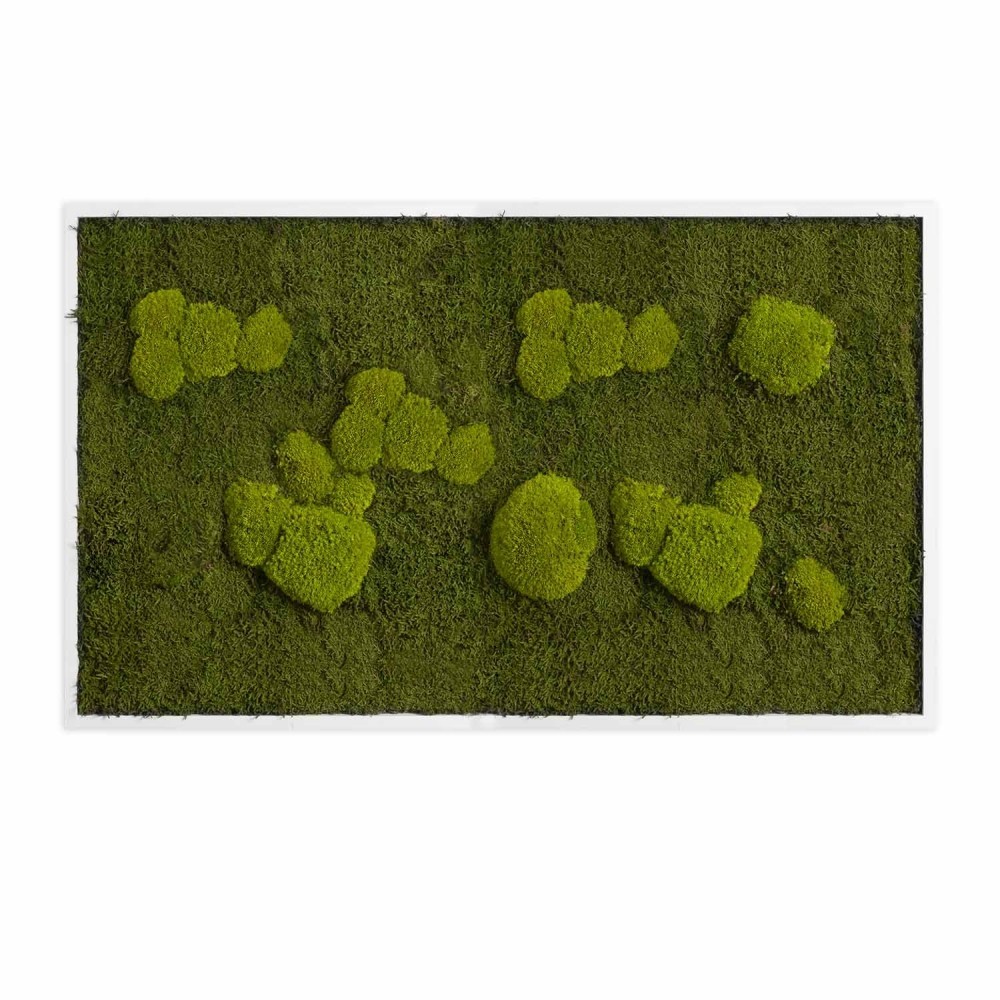 

Картина SmartBotanica из стабилизированного мха 100*60 см в белой деревянной рамке