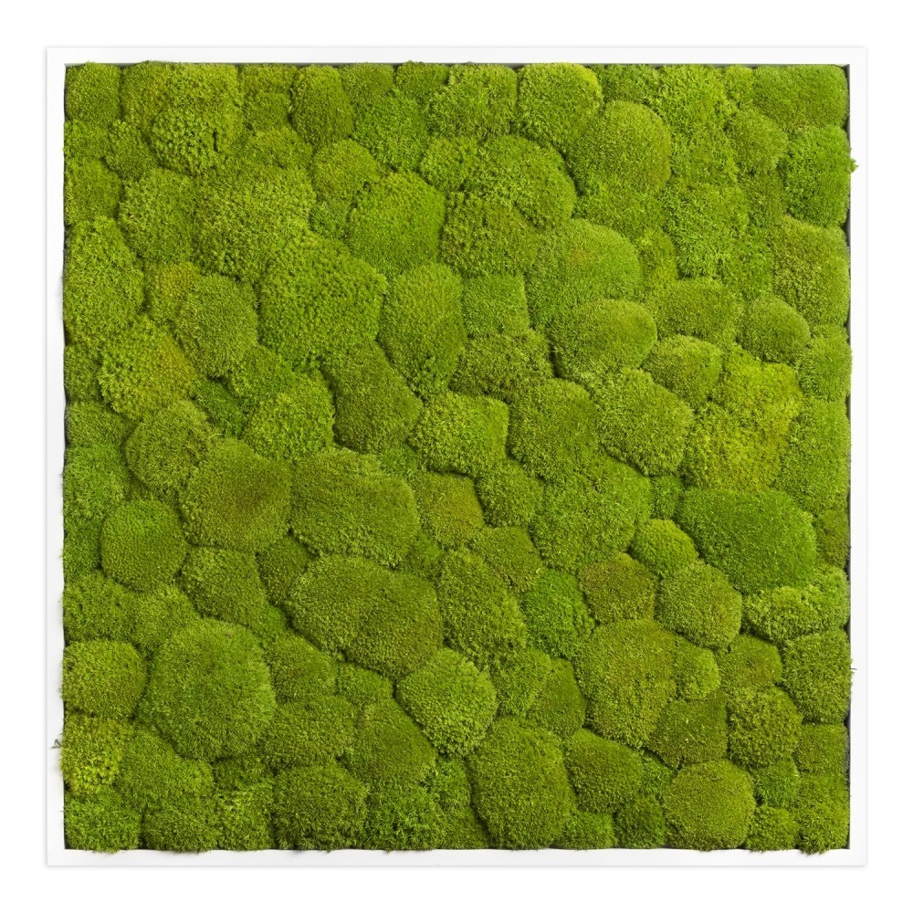 

Картина SmartBotanica из стабилизированного кочкового мха 80*80 см в белой деревянной рамке
