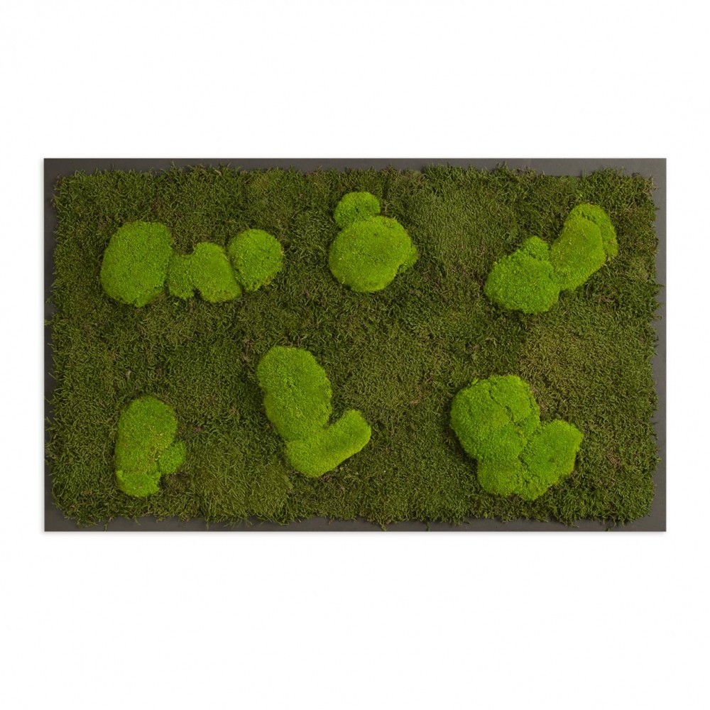 

Картина SmartBotanica из стабилизированного мха 100*60 см в черной деревянной рамке