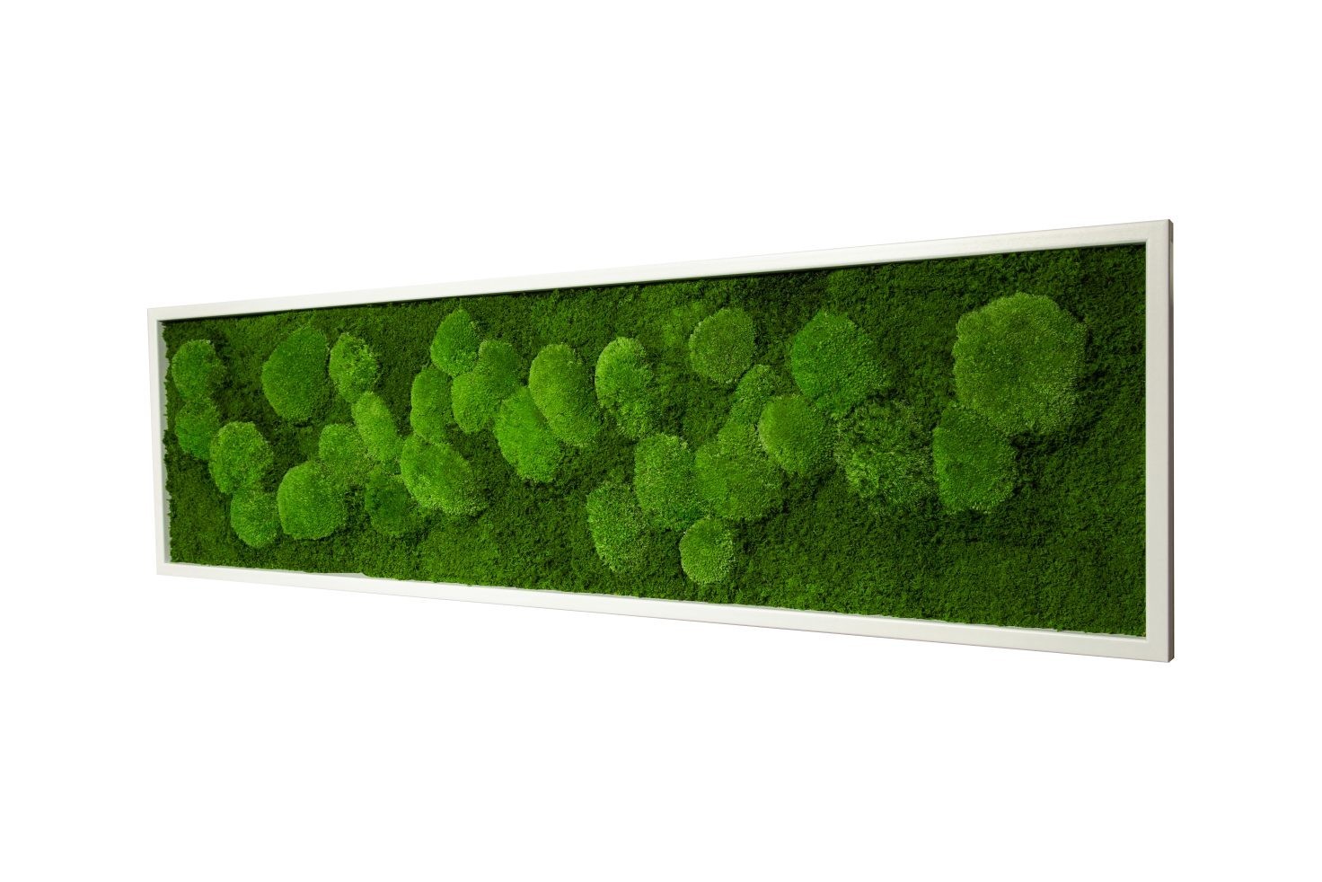 

Картина SmartBotanica со стабилизированным мхом 140*40 см в белой деревянной рамке
