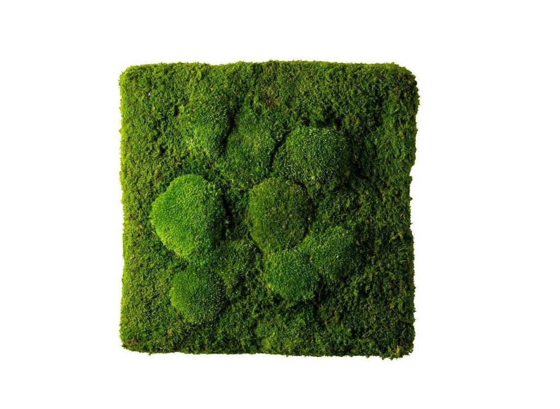 

Картина SmartBotanica из стабилизированного мха 25*25 см