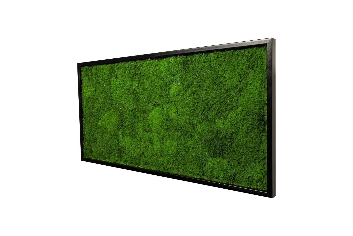 

Картина SmartBotanica из стабилизированного плоского мха 60*30 см в черной деревянной рамке