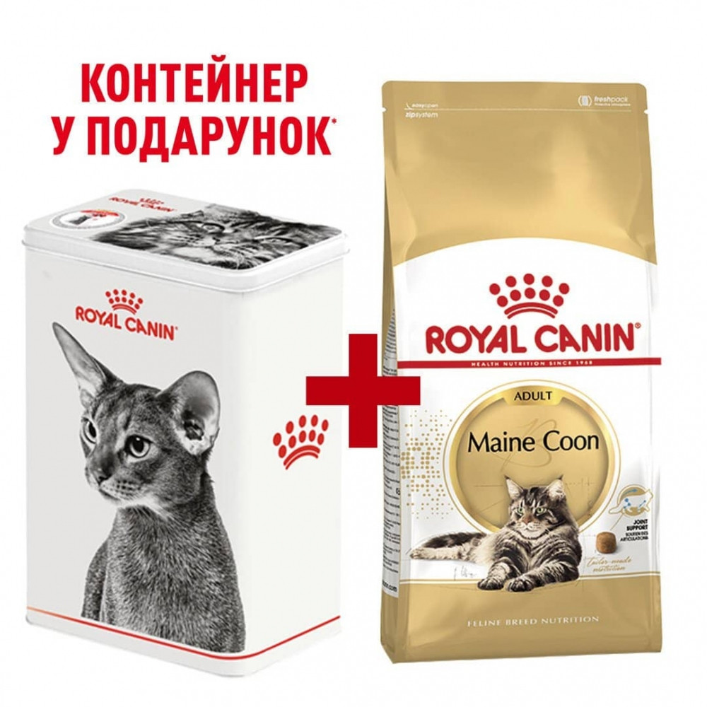 

Сухой корм Royal Canin Mainecoon Adult 2кг контейнер в подарок