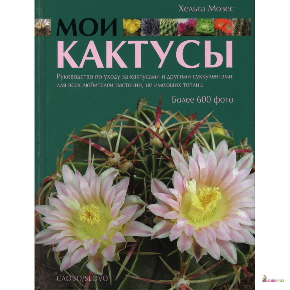 

Мои кактусы - Хельга Мозес - СЛОВО/SLOVO - 214683