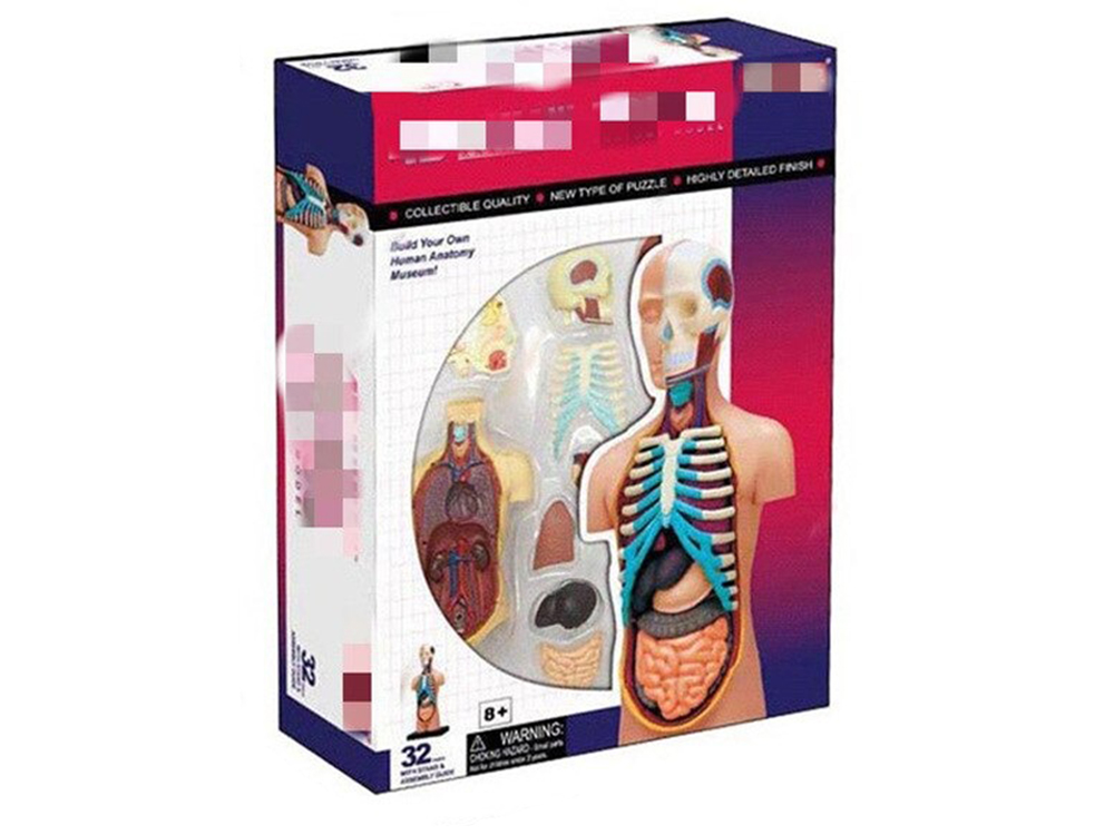 

Объемная анатомическая модель BauTech Тело человека прозрачное 4D Internal organs (1009-007-00)