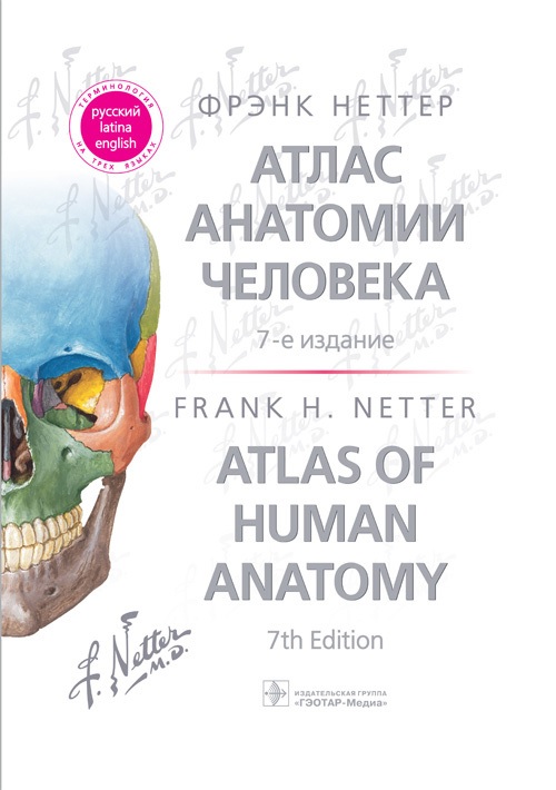 

Атлас анатомии человека Неттера, 7-е изд. Терминология на русском, латинском и английском языках - Фрэнк Неттер (9785970460511)