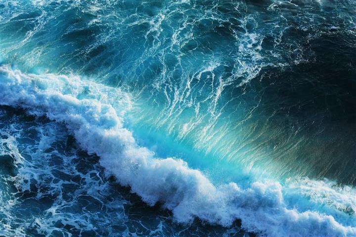 

Фотообои Динго Море Волна Океан Вода №1236v