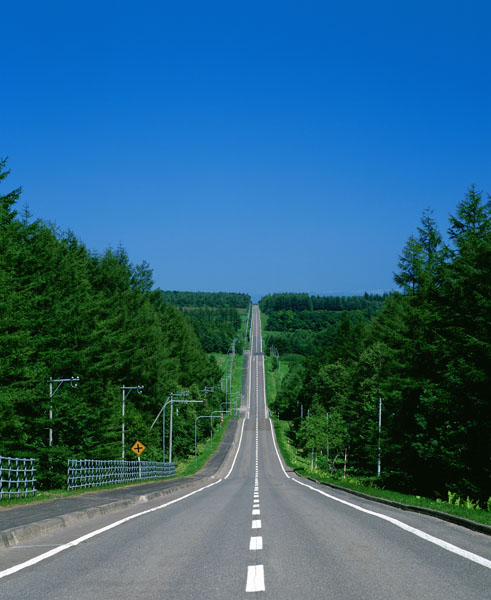 

Фотообои Динго Дорога Горизонт Луг Поле №6644v