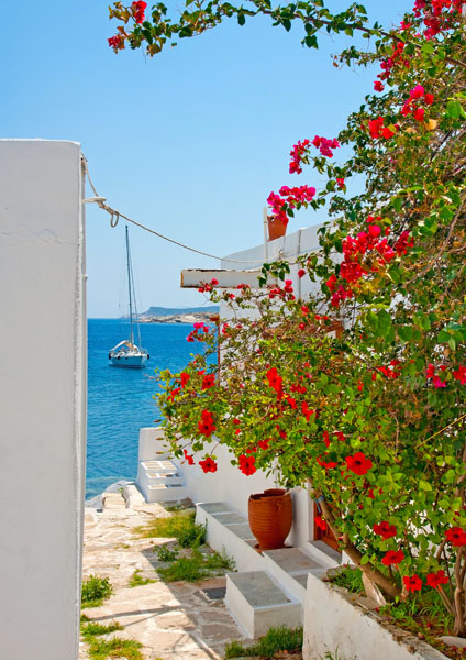 

Фотообои Динго Санторини Греция Море Отдых №6664v