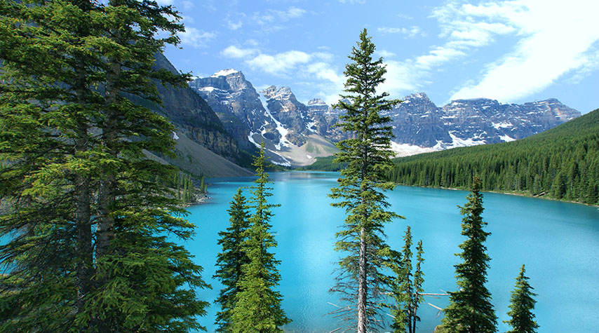 

Фотообои Динго Горы Скалы Wallpapers Фотообои №4022v