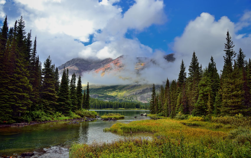 

Фотообои Динго Озеро Природа Вид Вода №7337v