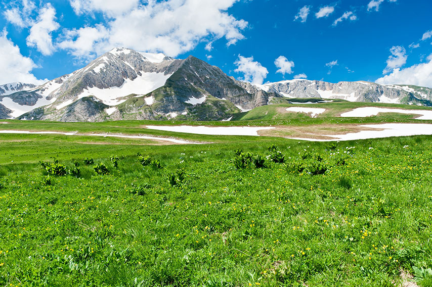 

Фотообои Динго Горы Скалы Wallpapers Фотообои №4031v