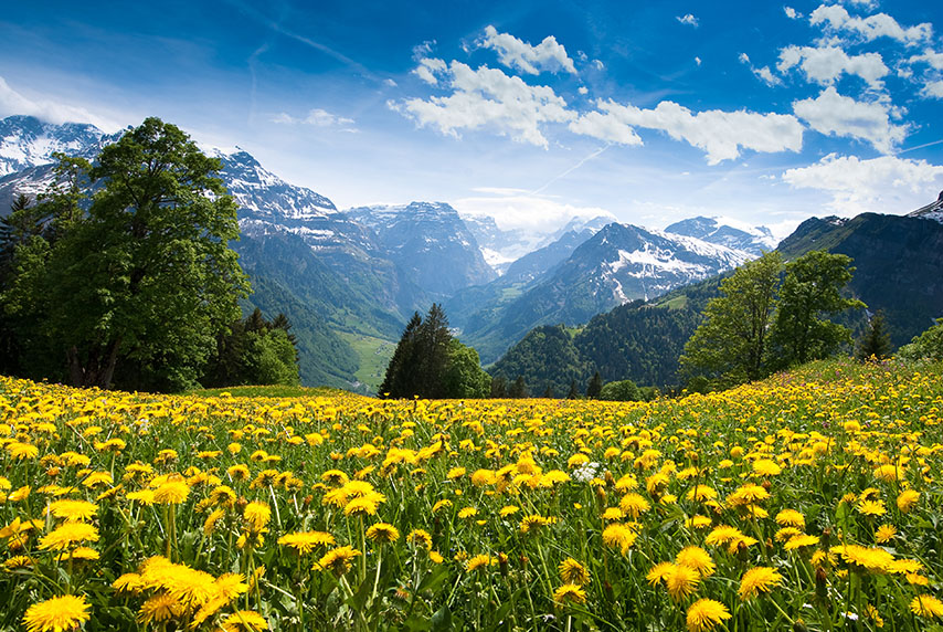 

Фотообои Динго Горы Скалы Wallpapers Фотообои №4061v
