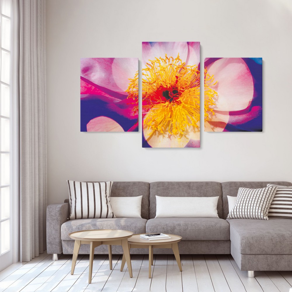 

Модульная картина из трех частей Цветок 96x60 см