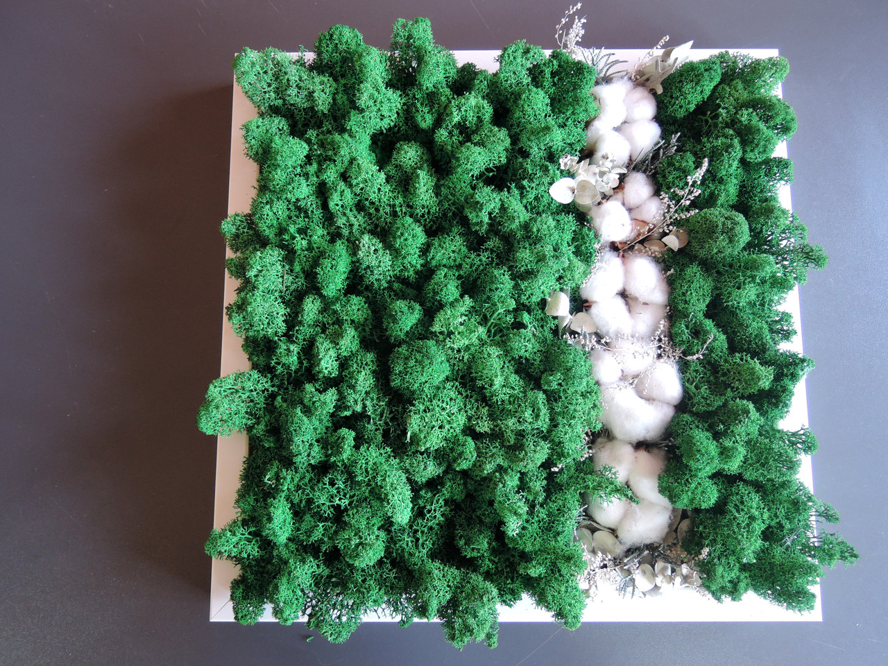 

Картина Artis Green "Хлопок" из мха Р5