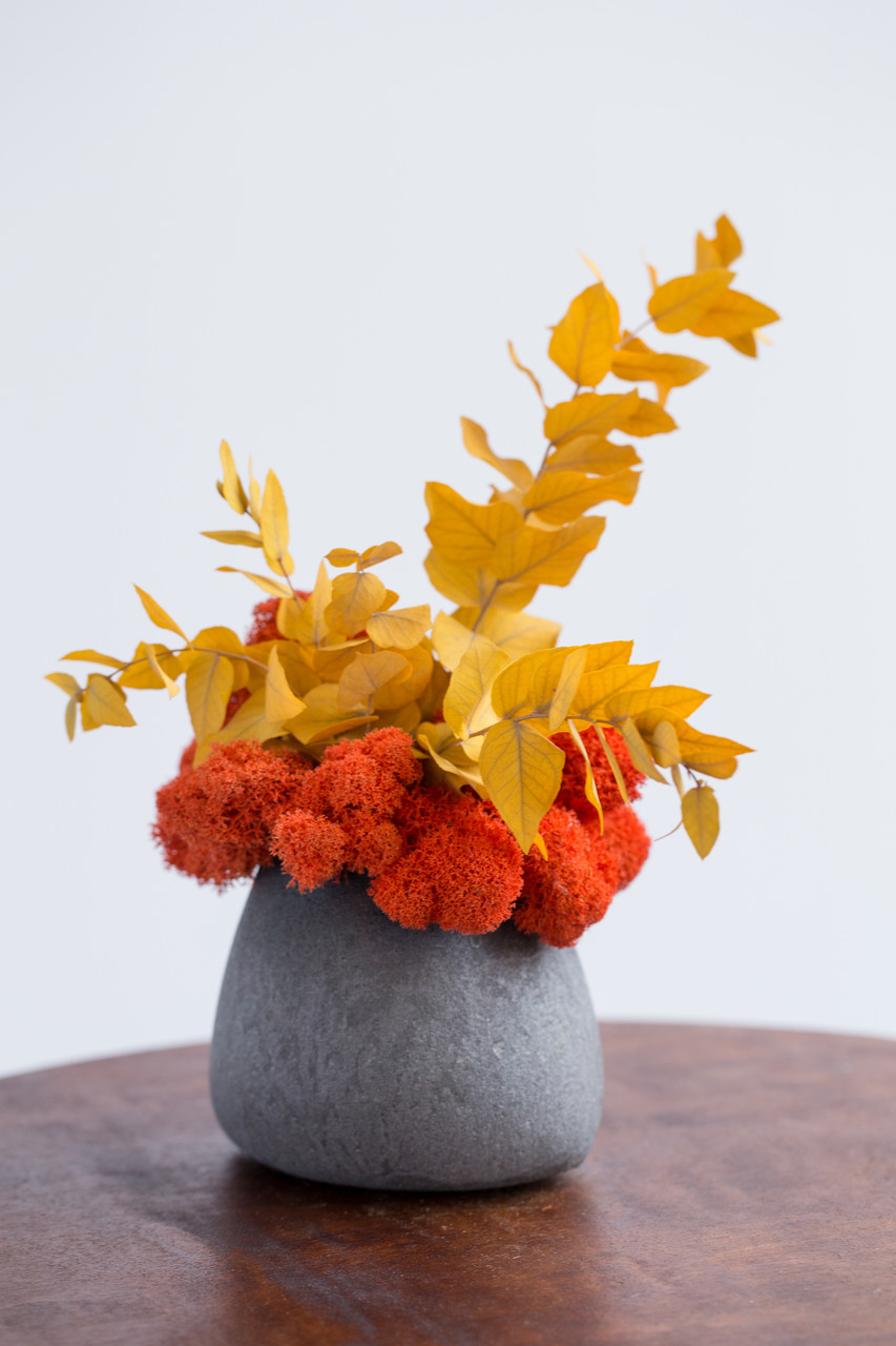 

Композиция Artis Green со стабилизированным мхом "Eucalyptus", orange S17|1