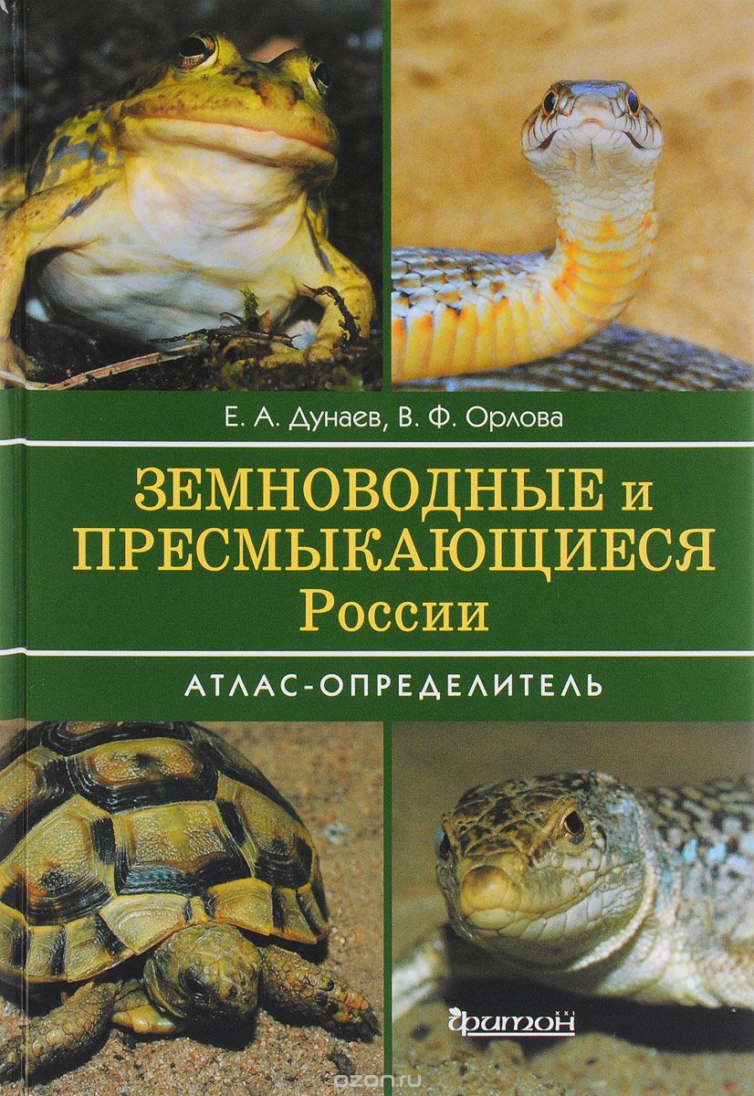 

Земноводные и пресмыкающиеся России. Атлас-определитель (1666524)