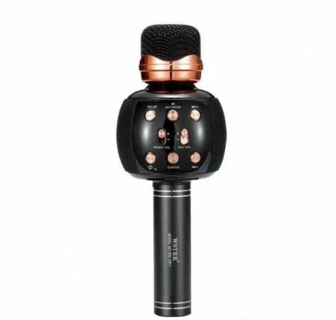 

Микрофон караоке WSTER M137 с колонкой Black