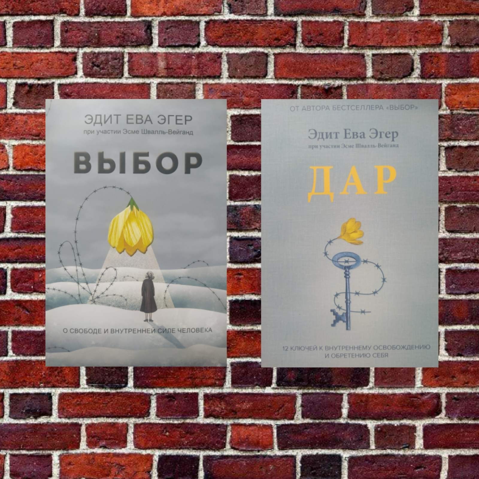 

"Выбор"+ "Дар" Комплект книг