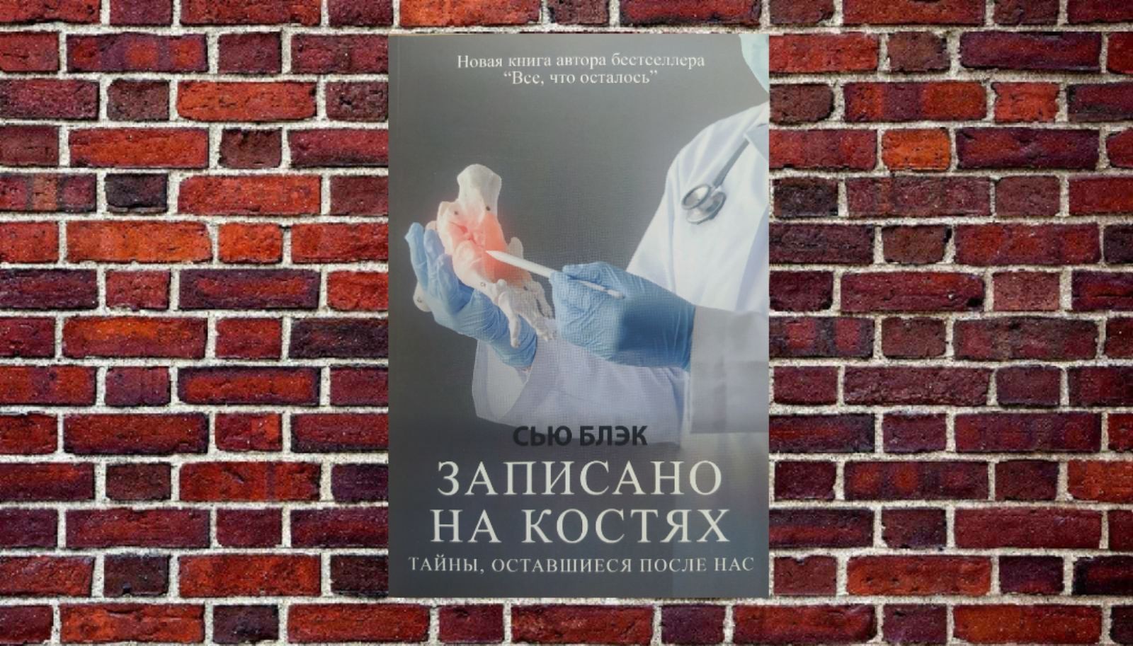 

"Записано на костях. Тайны, оставшиеся после нас." Сью Блэк