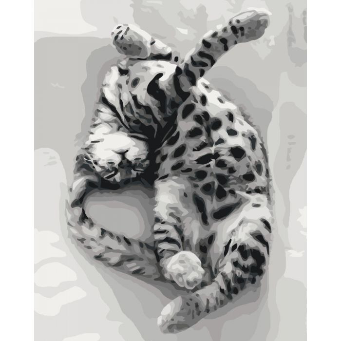 

Картина по номерам. Животные, птицы "Сладкий сон" KHO4069, 40*50 см 394071