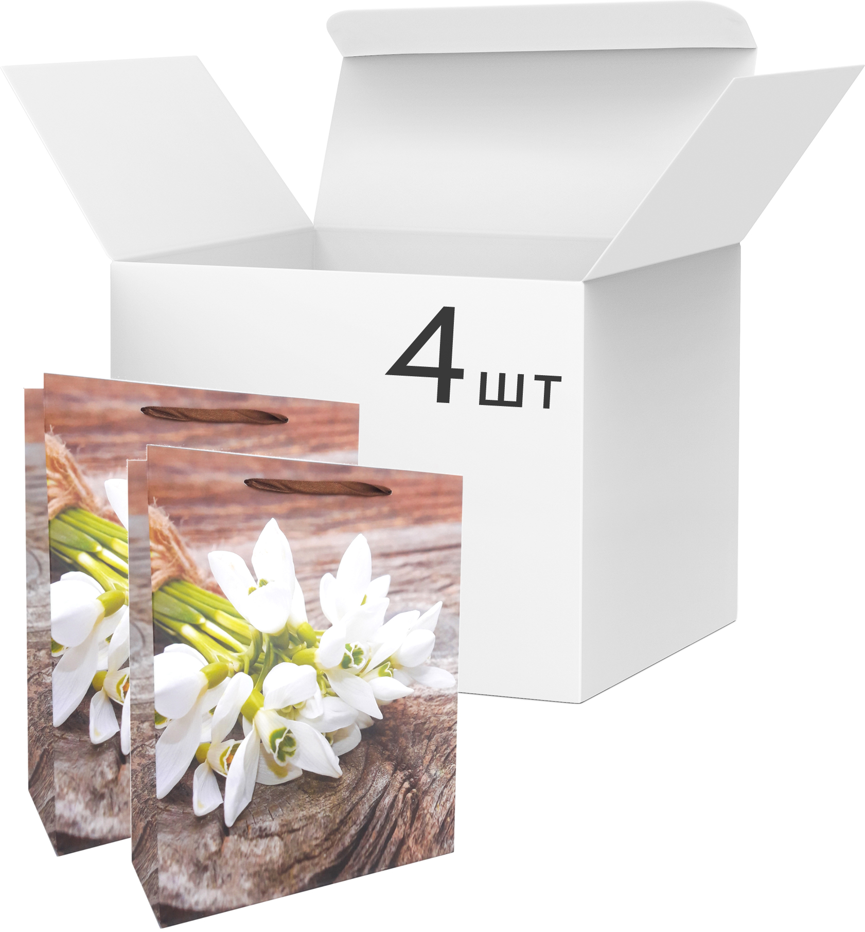 

Набор пакетов подарочных Angel Gifts 310х400х120 мм Подснежник 4 шт (Я46032_AG91391_4)