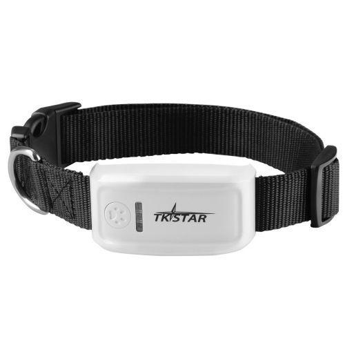 

GPS ошейник TKSTAR TK909