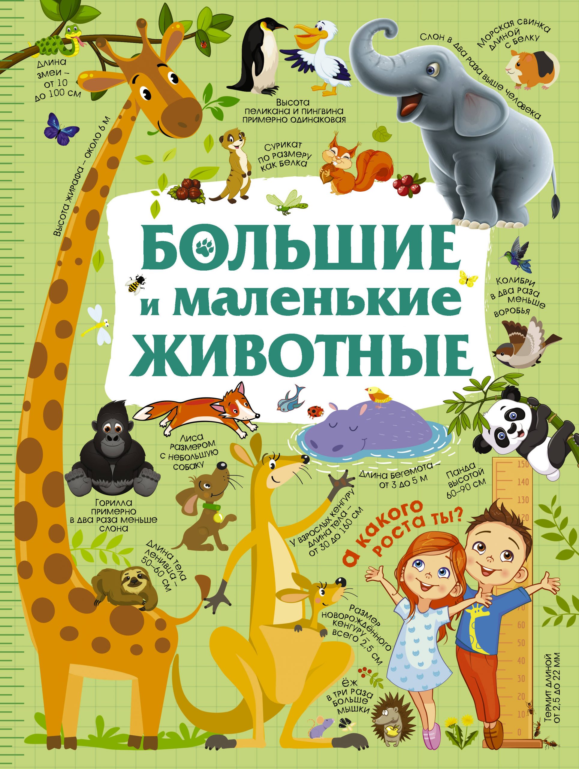 

Большие и маленькие животные