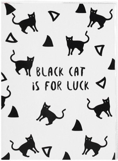 

Планер Mini Black Cat