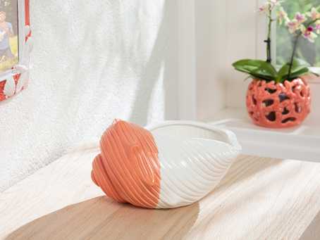 

Seashell Статуэтка 19.5х16.1х10.5 см EH