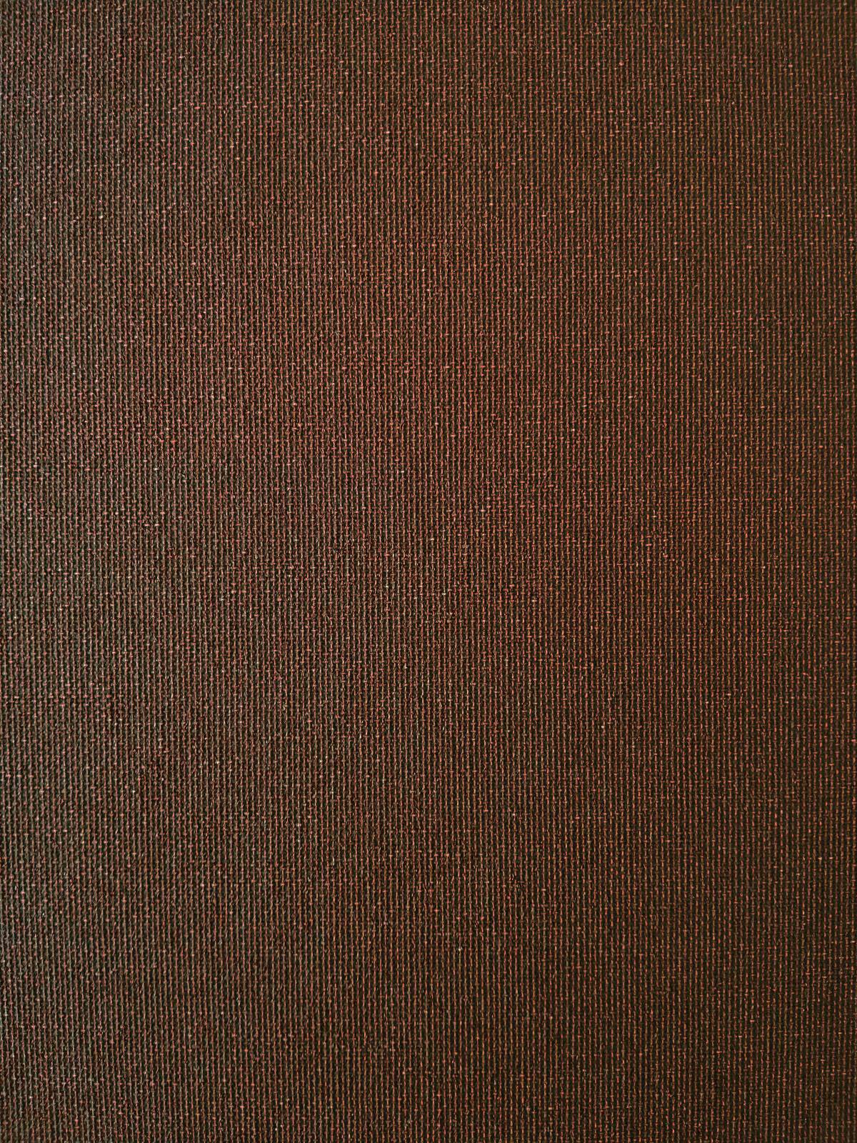 

Рулонная штора Franz Deco Eden 100 х 160 см Каштановая (Д31512)