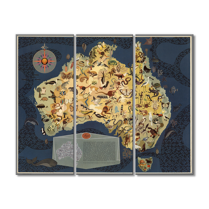 

Карта Artel «Эко Карта Австралии»3 модуля 80x120 см