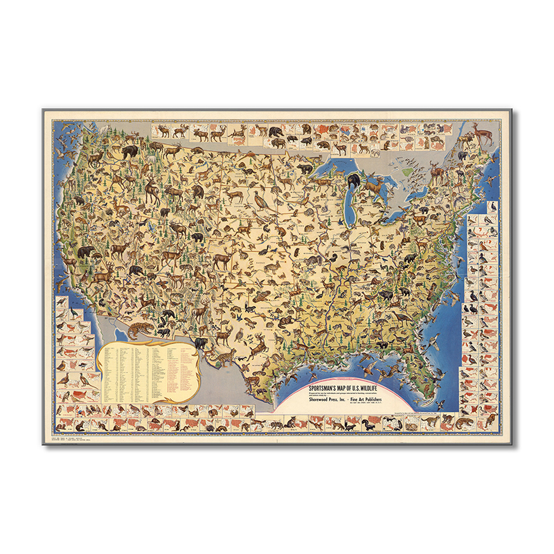 

Винтажная карта Artel «Карта США, где живут животные» 1 модуль 50x75 см