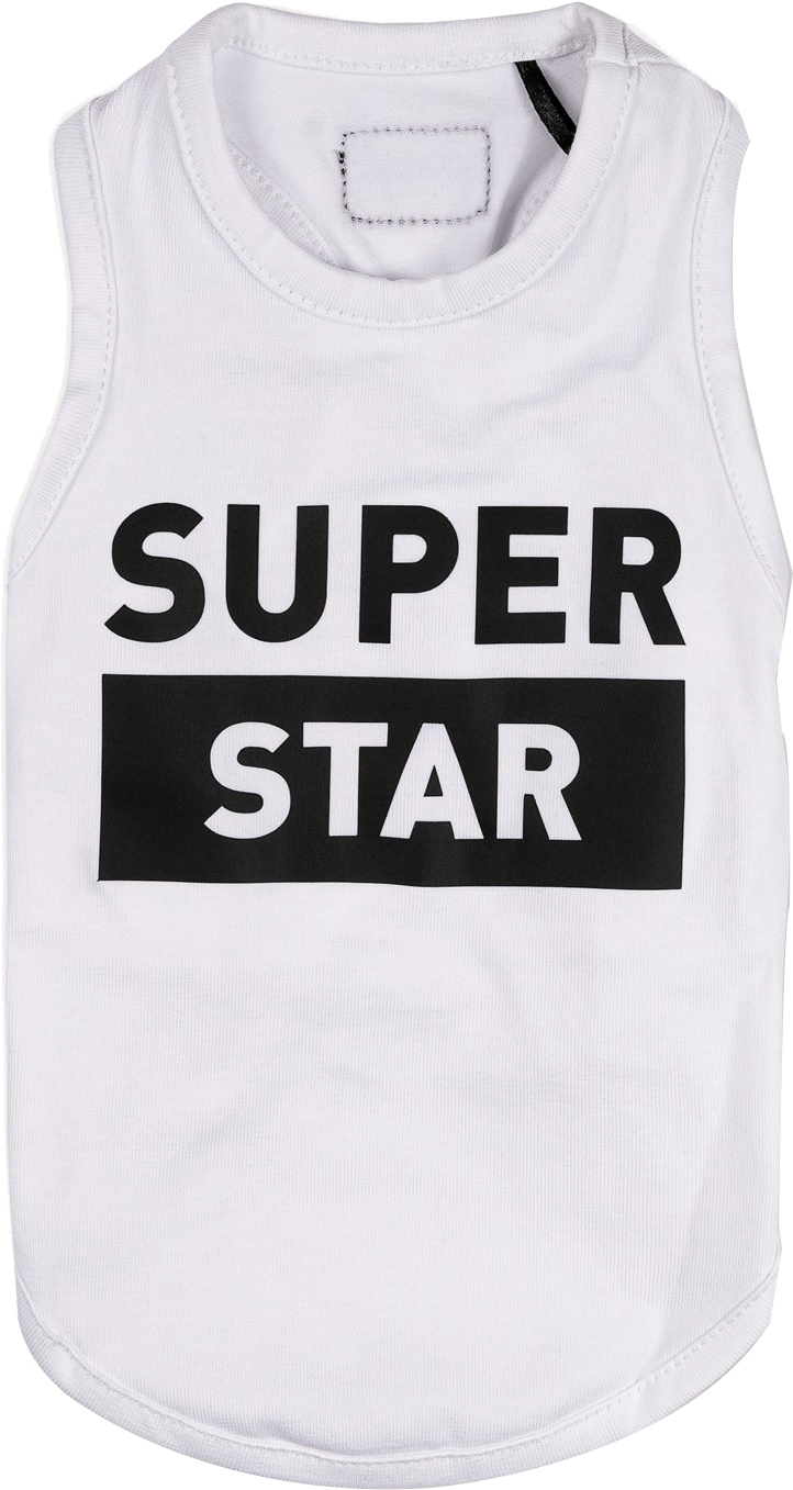 

Борцовка для собак Pet Fashion "Superstar" XS-2 Белая (4823082421831)