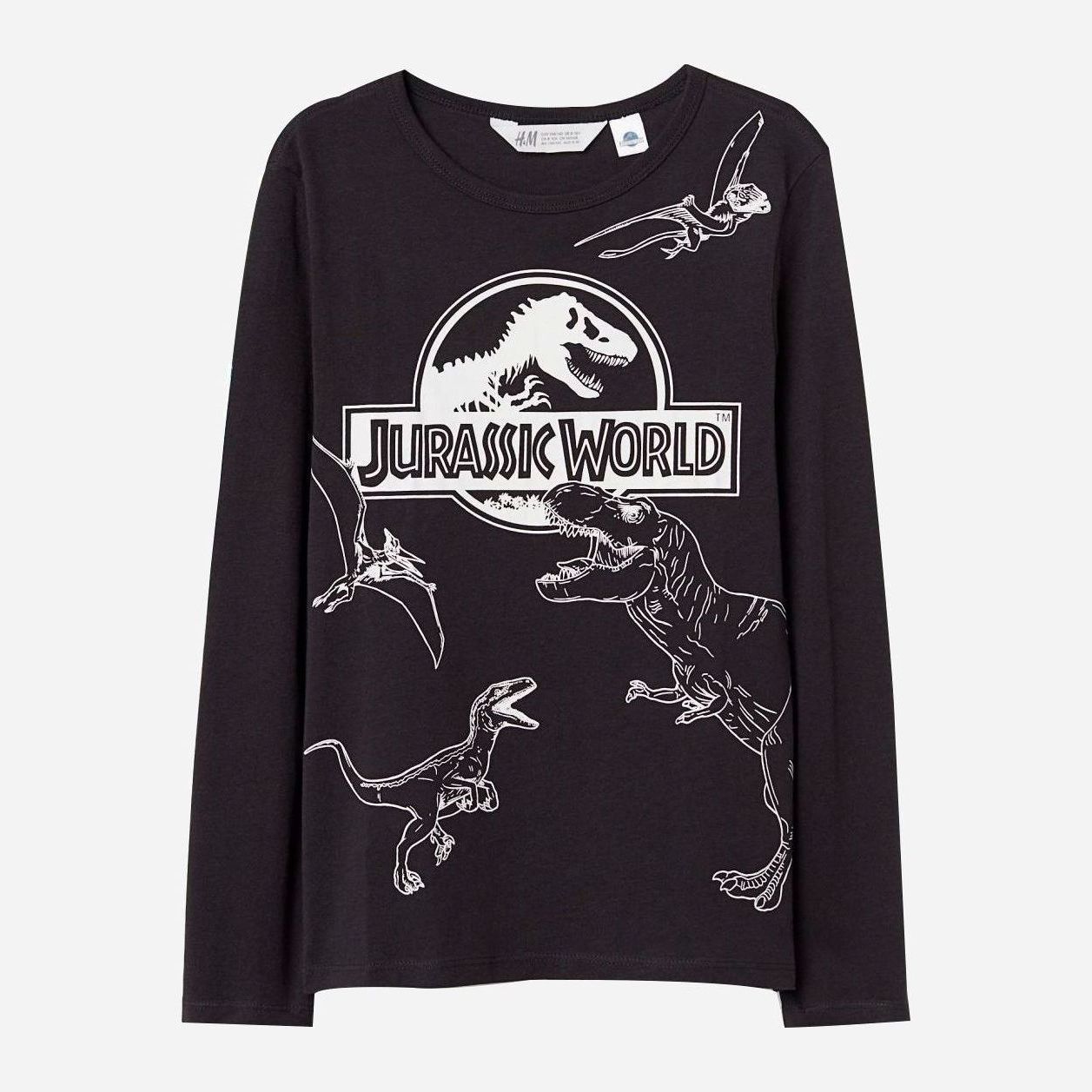 

Футболка с длинными рукавами H&M 0650987 92 см Черная
