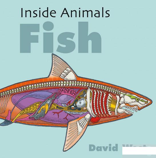 

Inside Animals. Fish (1171798)