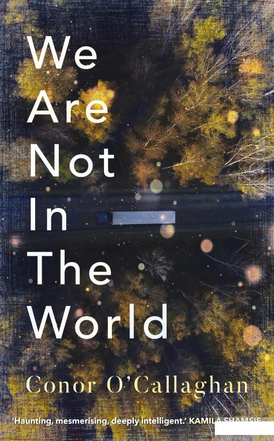 

We Are Not in the World (1196684)