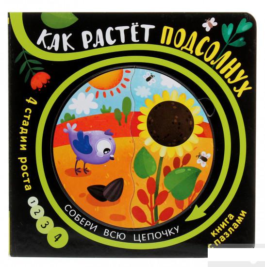 

Собери цепочку. Как растет подсолнух (929458)