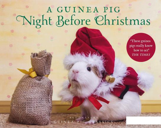 

A Guinea Pig Night Before Christmas (1193314)