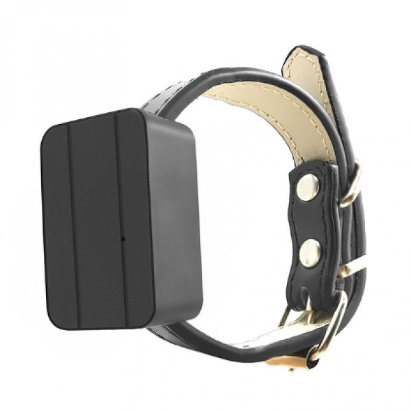 

GPS ошейник SIM Seuno CJ2 для собак, кошек и животных (трекер ошейник) GSM / GPRS / LBS / AGPS