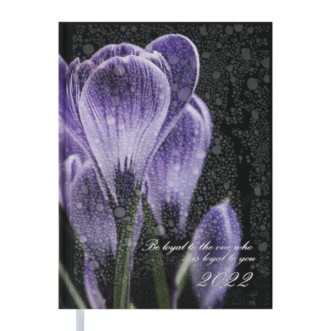 

Датированный ежедневник Buromax 2022 POSH, A5, черный (BM.2118-01)