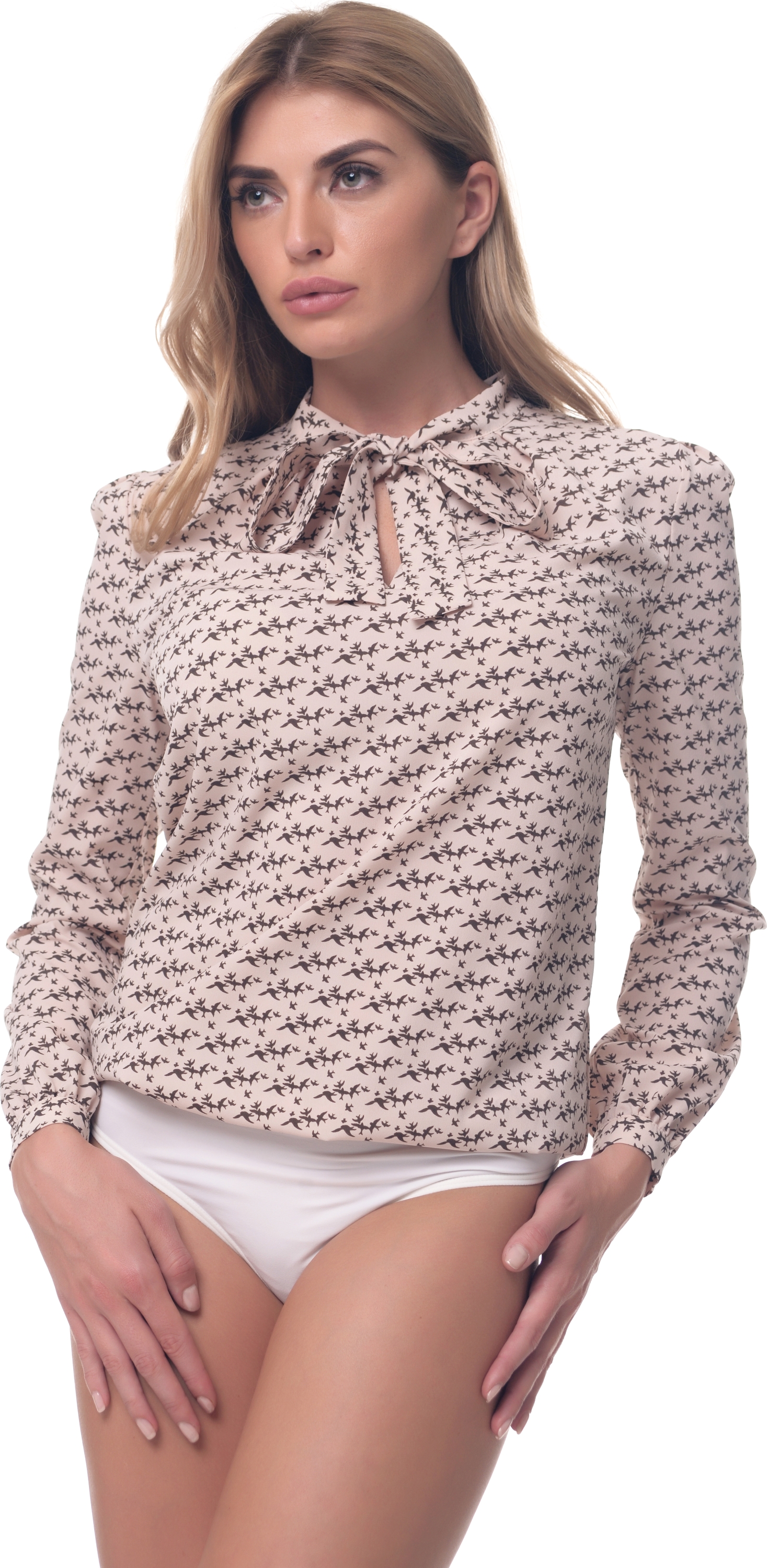 

Боди-блузка AREFEVA L5250  (46) Beige Brown, Боди-блузка AREFEVA L5250 M (46) Beige Brown