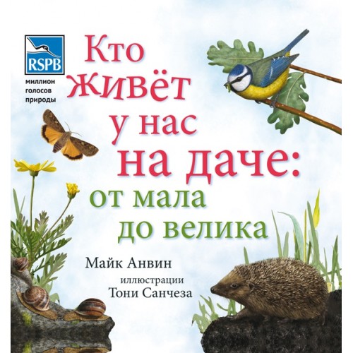 

Кто живет у нас на даче. От мала до велика (1673028)