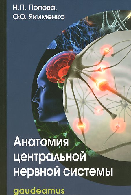 

Анатомия центральной нервной системы. Учебное пособие (943999)