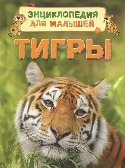 

Тигры (1324098)